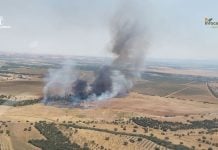 Once incendios de Castilla-La Mancha entran en la declaración de zonas afectadas por emergencias y podrán optar a ayudas