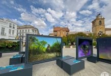Fotos en la Plaza