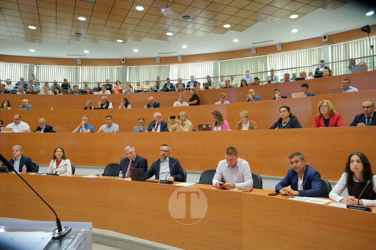 Tomelloso lleva a Europa los retos del vino: consumo, relevo generacional, costes y apoyo al sector