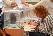 Elecciones del 29 de noviembre: estas son las fechas que debes tener en cuenta para votar